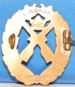 Bronce Badge 24332